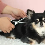 【ペットの死】毛皮｜保管｜供養｜思い出の品