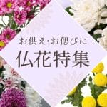 【仏壇の花】タブー｜ダメな花｜縁起｜理由