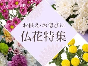【仏壇の花】タブー｜ダメな花｜縁起｜理由