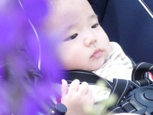 【子供の葬儀】連れて行かれる？｜年齢や状況で判断
