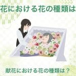 【献花と供花】違い｜意味｜マナー｜シーン｜注意点