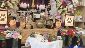 ペットエンゼル岩手