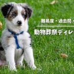 動物葬祭ディレクターの資格取得｜難易度や費用、仕事内容を紹介