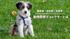 動物葬祭ディレクターの資格取得｜難易度や費用、仕事内容を紹介