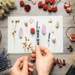 思い出を形に｜葬式でもらった花をドライフラワーにする方法