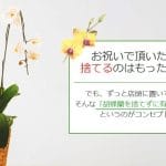 葬式でもらった花｜捨て方は？｜感謝の気持ちを込めて処分